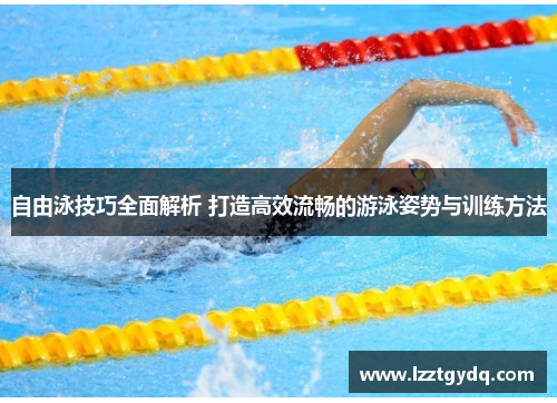 自由泳技巧全面解析 打造高效流畅的游泳姿势与训练方法