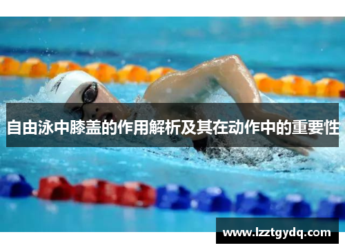 自由泳中膝盖的作用解析及其在动作中的重要性